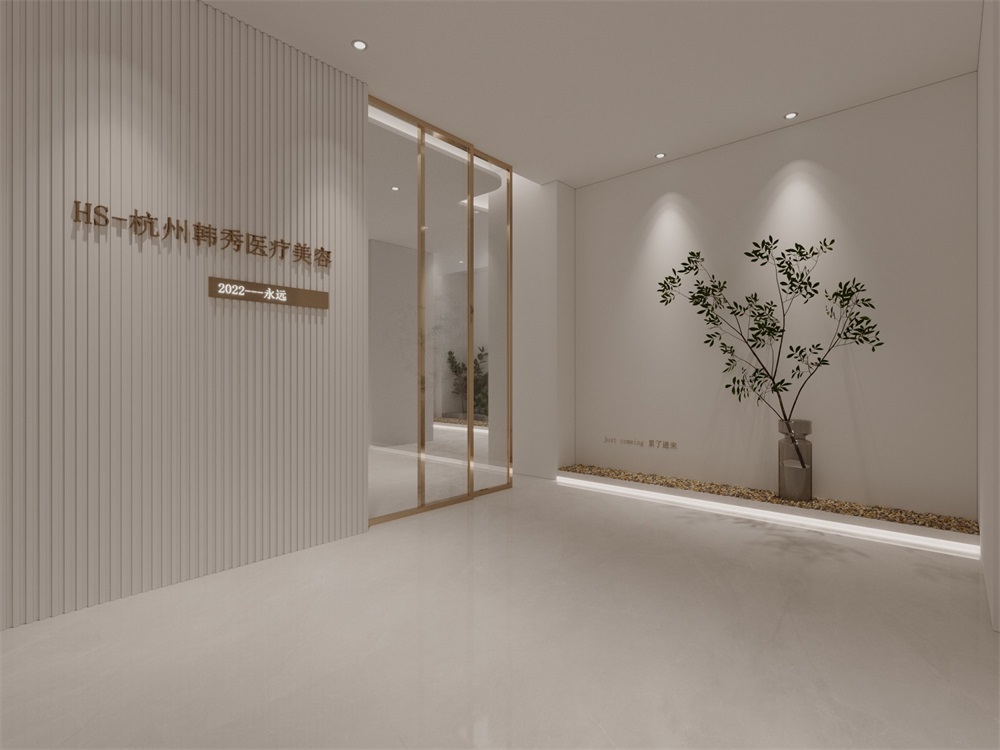 杭州簡約醫(yī)療美容機構(gòu)裝修設(shè)計案例效果圖